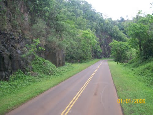 Ruta 7 de Jardín América hacia Aristóbulo del Valle. S.L.