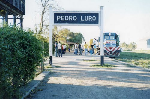 A punto de entrar en la Patagonia. (Pedro Luro, Buenos Aires)