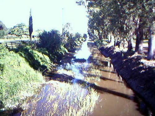Canal Salgado