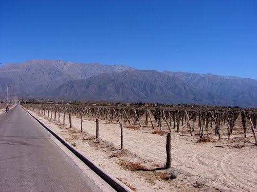 Vista del \"Cordón de Velasco\"  entre Viñedos entrando a  \"Anillaco\"  \"La Rioja\" \"Arg\"