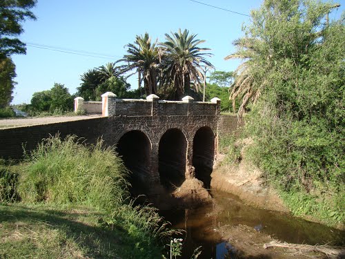 Puente ladrillero sobre el canal Salgado - Lobos (Bs.As.) ecm