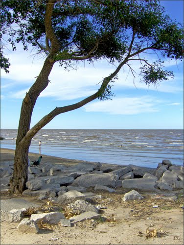 Punta Lara- Buenos Aires