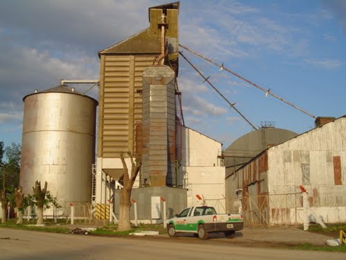 Planta silos