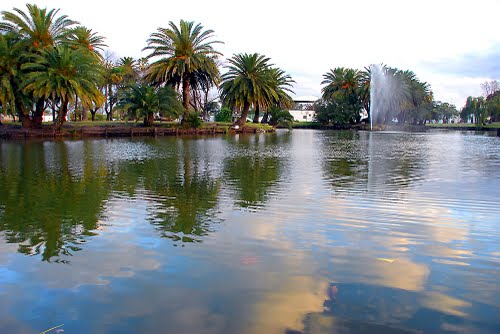 El lago del parque de Pehuajó