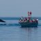 Whale watching, Valdes Peninsula