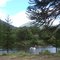 Ruta 18 al Lago Ruka Choroy - Parque Nacional Lanin
