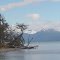Tierra del Fuego - Lago Fagnano -  ecm