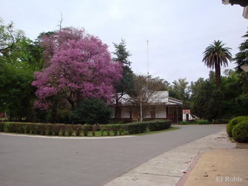 Edificaciones dentro del predio de la Facultad de Veterinaria en Casilda, Santa Fe, Argentina