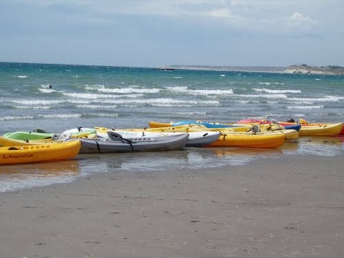 Patagonian Kayak en Puerto Madryn