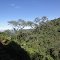 Parque Nacional Calilegua - Jujuy